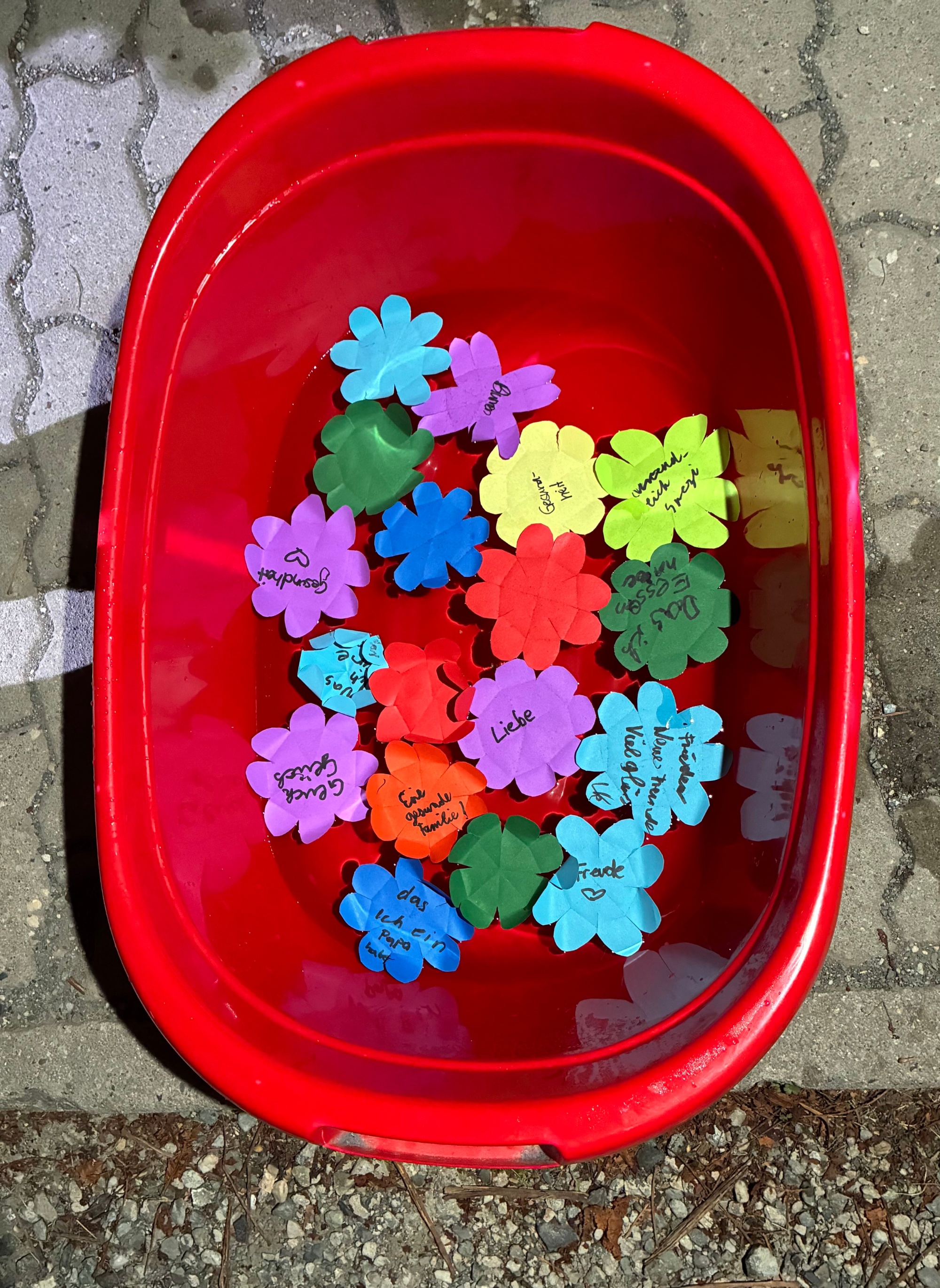 Nachtwanderung für Familien 2026 Die aufgeblühten Papierblumen schwimmen auf dem Wasser.